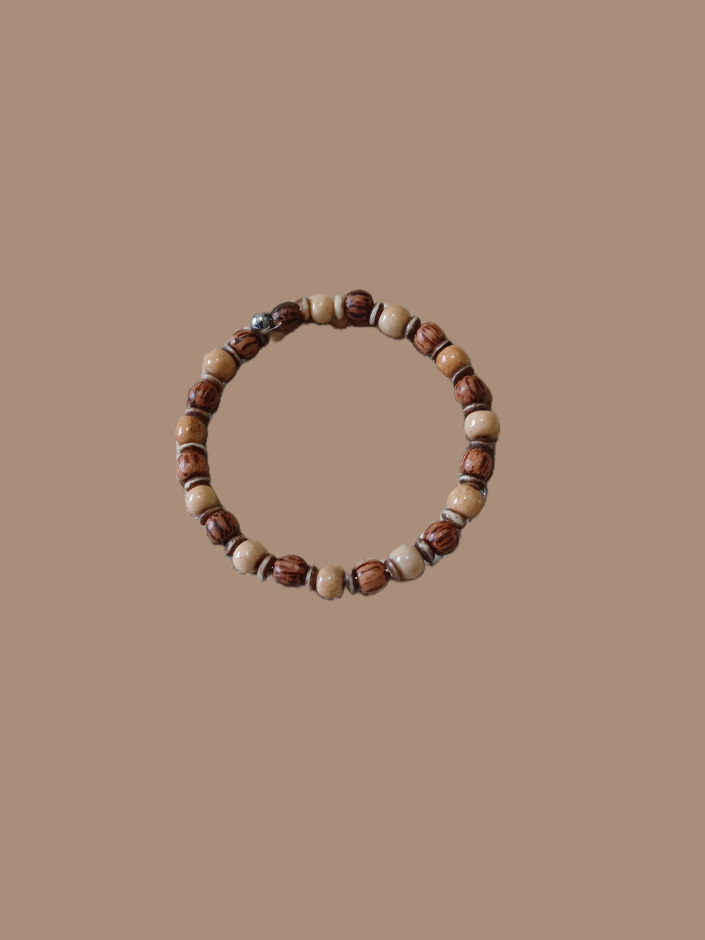 Bone and Wood Bracelet